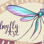 Filmyfly XYZ