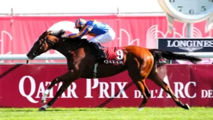 Quinté du Jour Prognosis