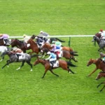 Barthturf 10 12 Horse Racing Tips 