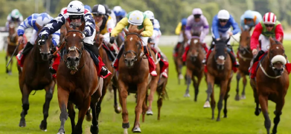 PMU Turf: Top tips to win big on your next bet