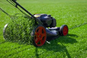 Turf care